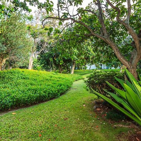 Modern, Romantic Vibes In The Tropics Kahuku Ngoại thất bức ảnh