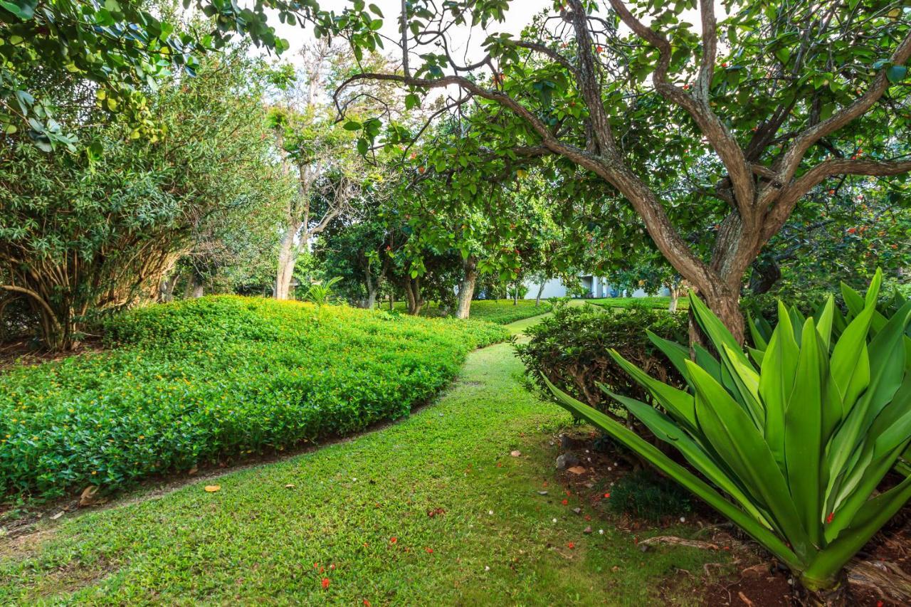Modern, Romantic Vibes In The Tropics Kahuku Ngoại thất bức ảnh