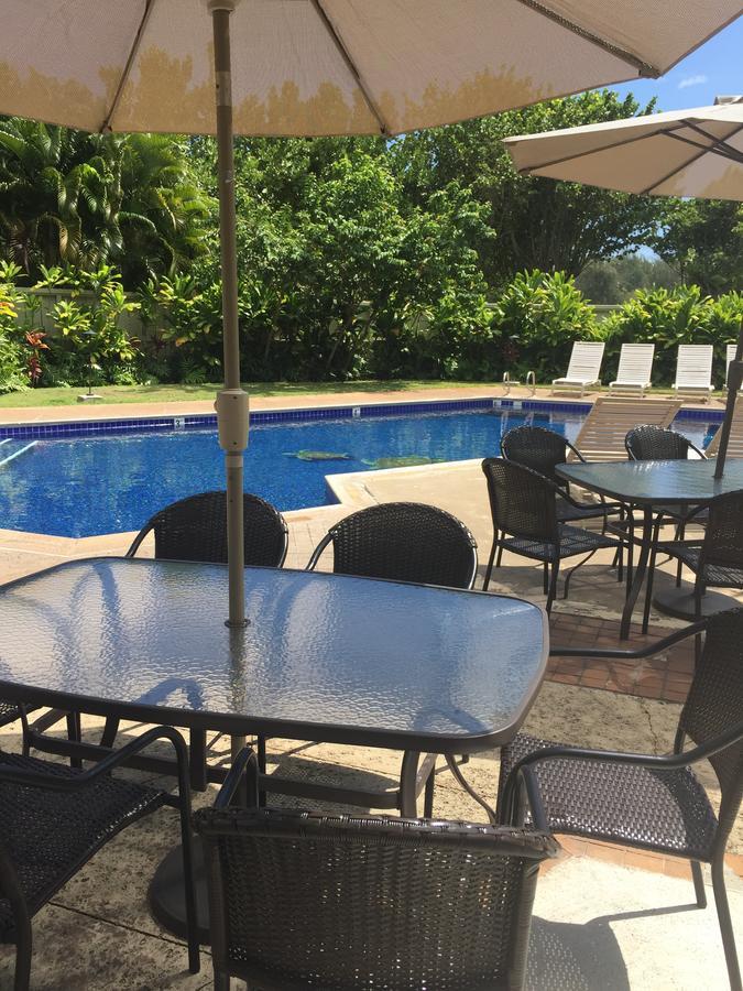Modern, Romantic Vibes In The Tropics Kahuku Ngoại thất bức ảnh